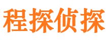 南湖市侦探公司